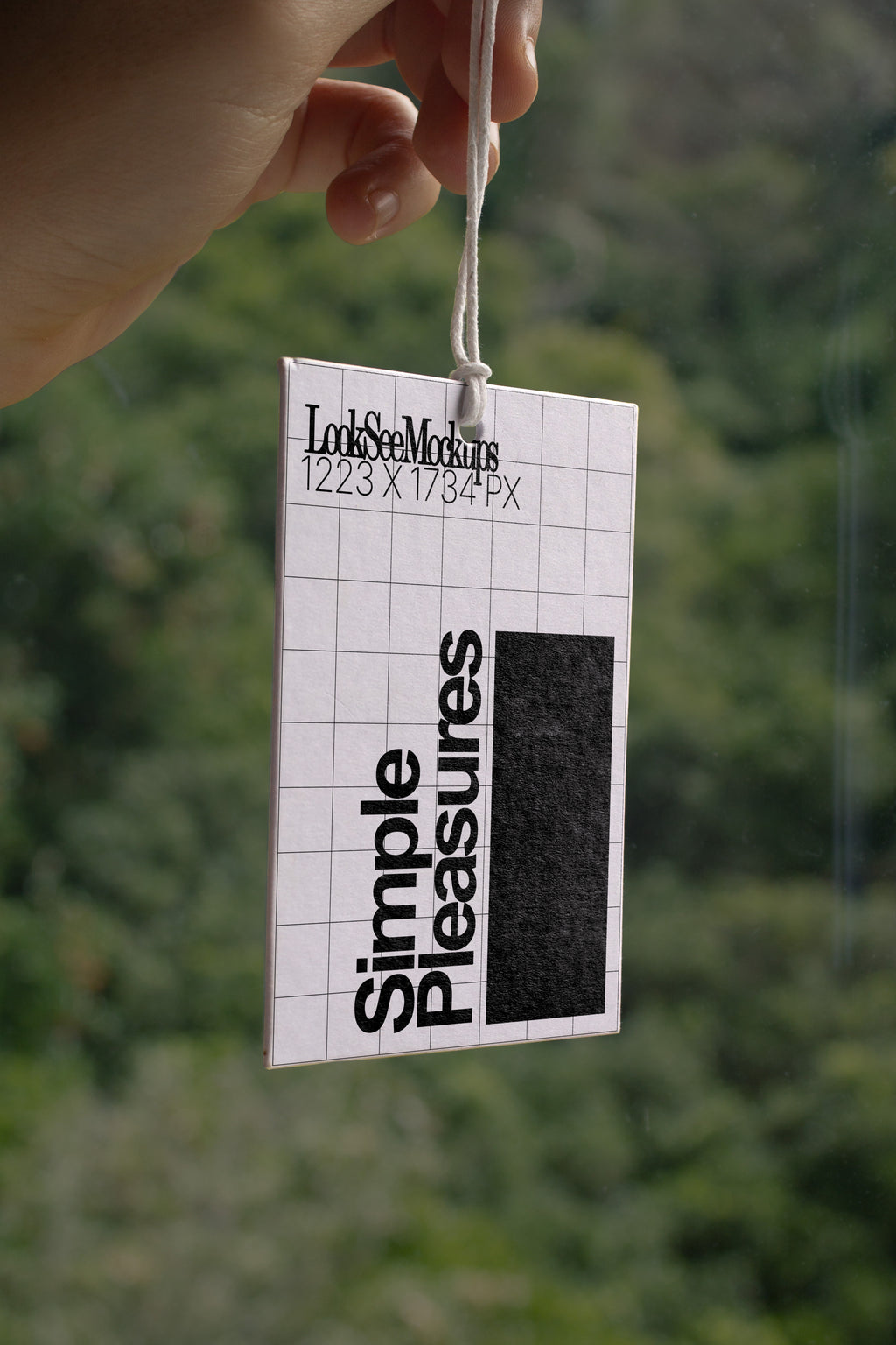 SP Swing Tag #003